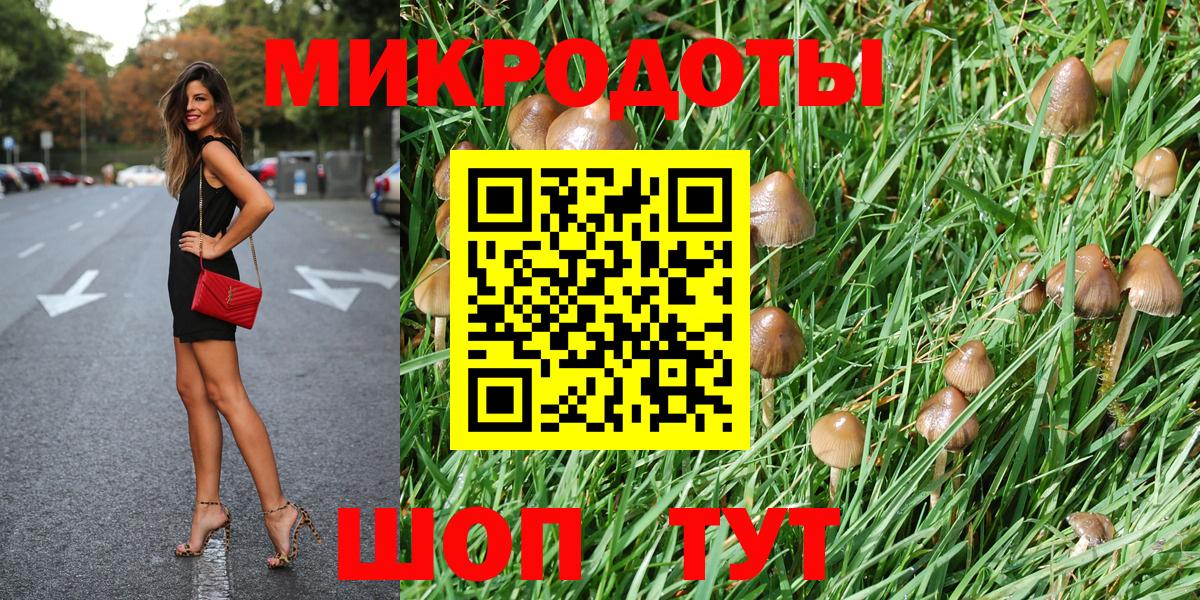 Галлюциногенные грибы GOLDEN TEACHER Аргун